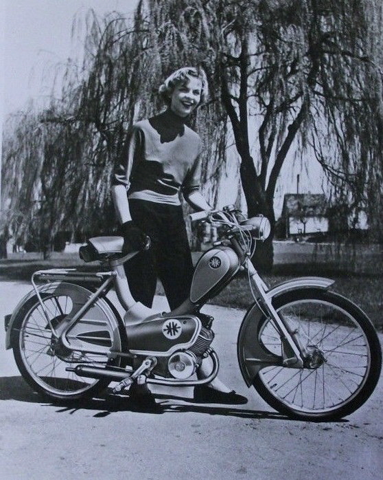 Kreidler 